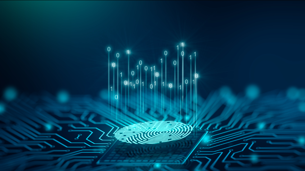 Embedded Systems & AI